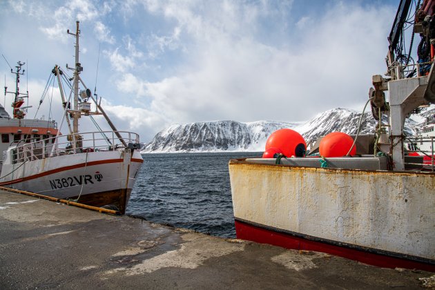 Visserij haven van Honningsvag