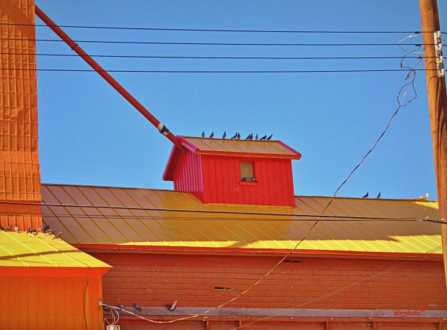 Grain Elevator Nanton - detail