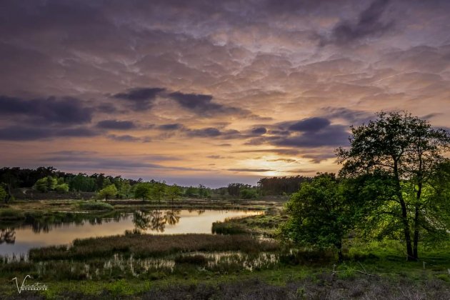 Hatertse Vennen later in the evening