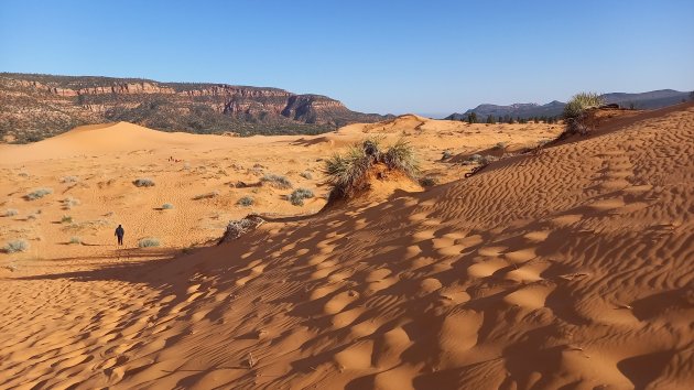 Coral Pink Sanddunes