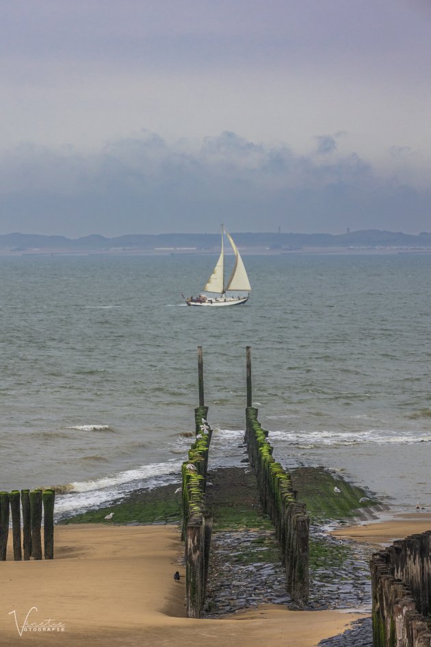 Bootje op de Westerschelde