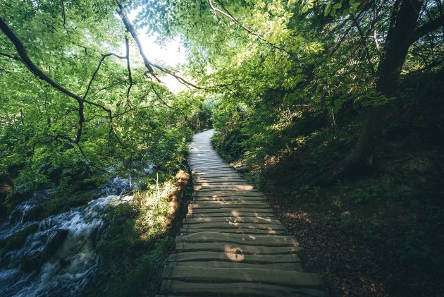 Pathways of Plitvice.