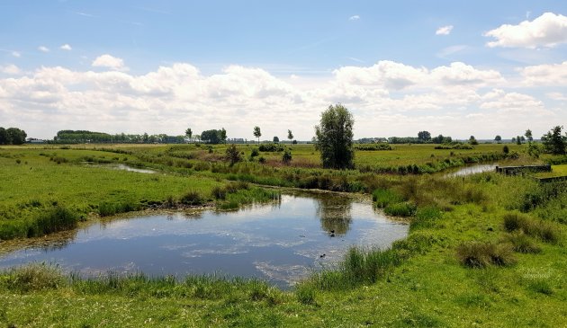 Zeeuws landschap ten westen van de Steenen Beer