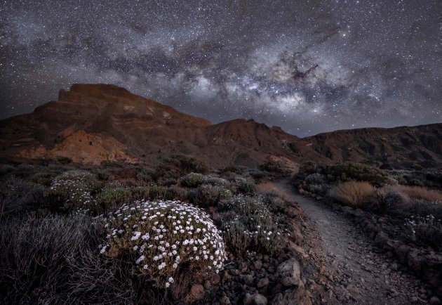 De Sterrenhemel van El Teide