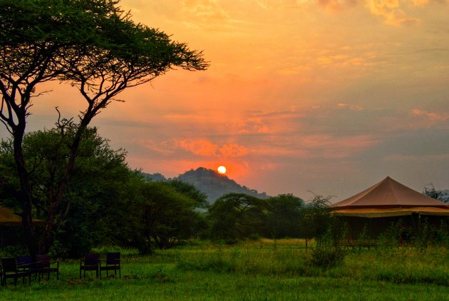 Safari sunset