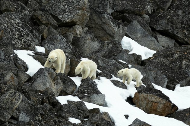 Spitsbergen