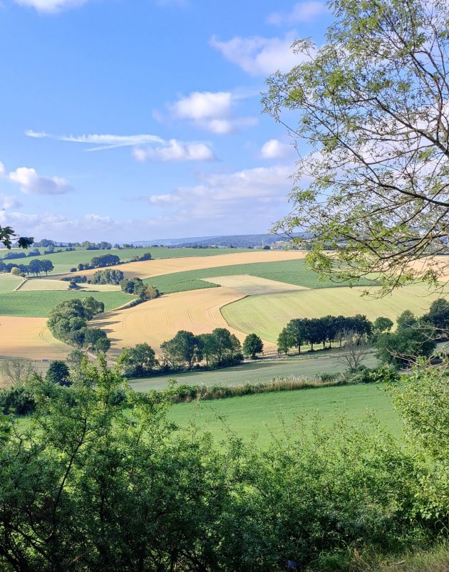 De heuvels in Zuid-Limburg