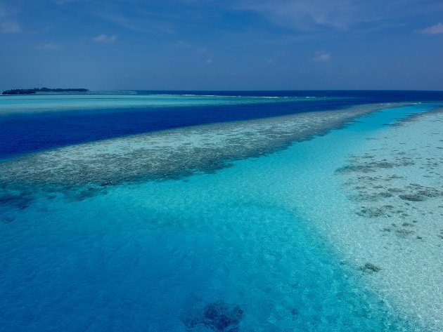 Maldives blue