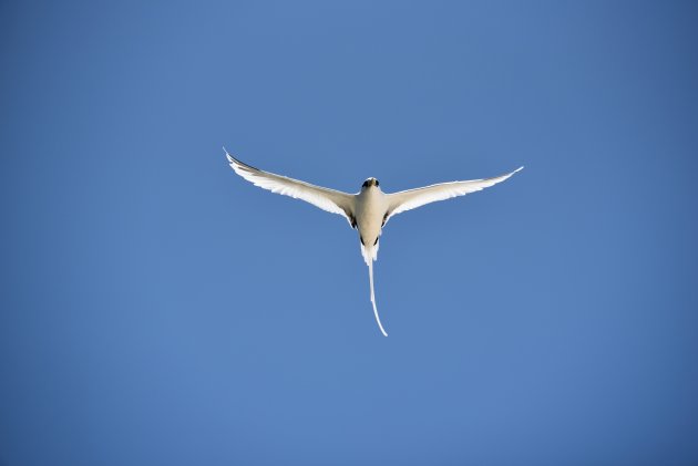 Natuur reservaat