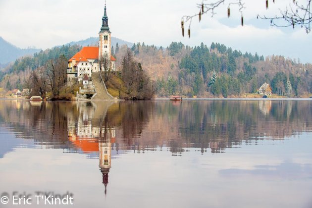 bled