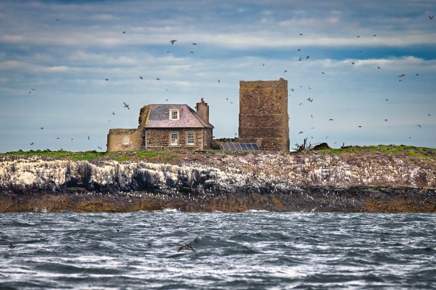 Brownsman Island