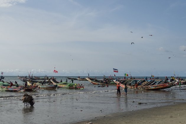 Vismarkt, Tanji, Gambia