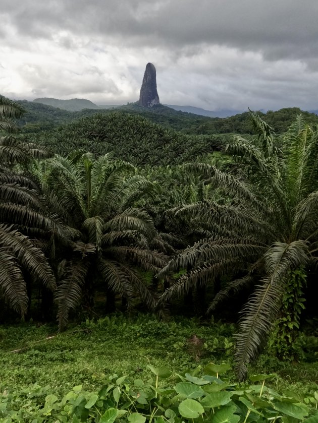 Pico Cao Grande