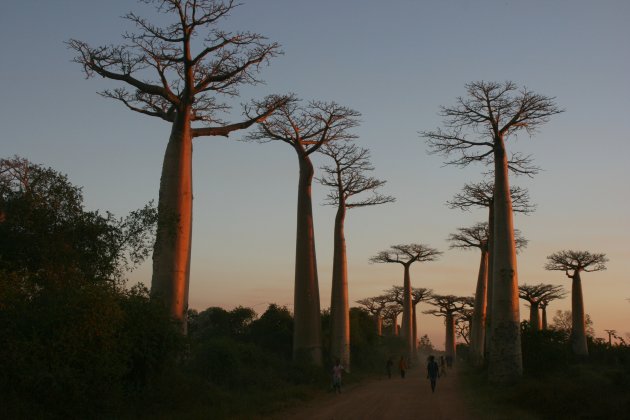 Morondava