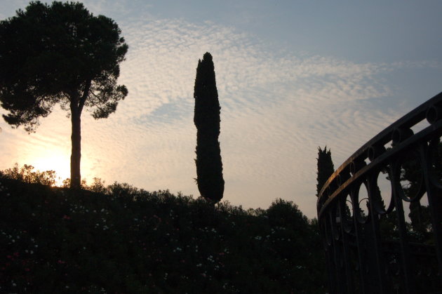 Cypresse's zonsondergang