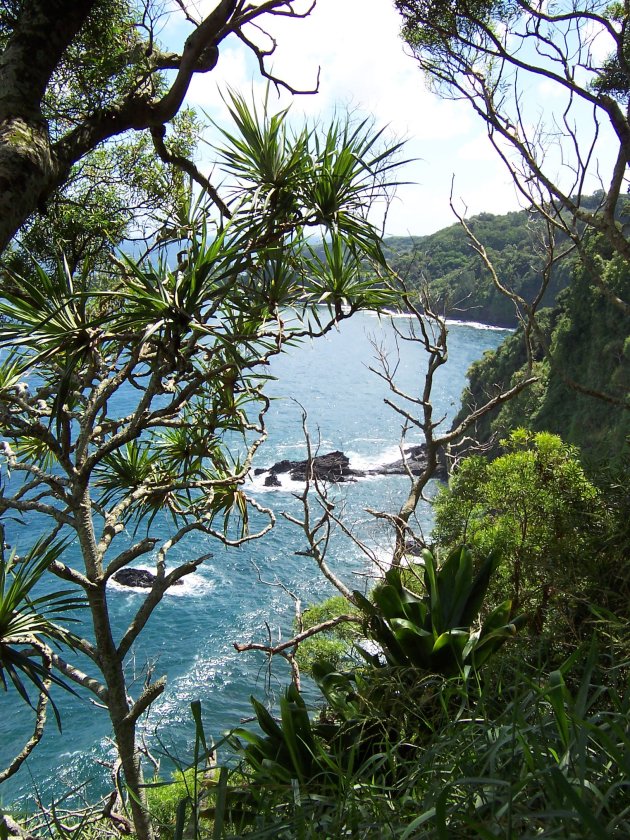 hana coast op Maui