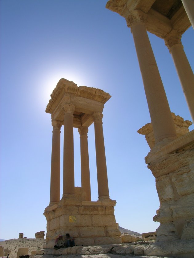 Palmyra 