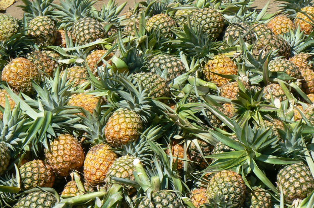 ananas!