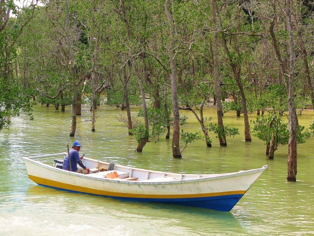 Bako national park