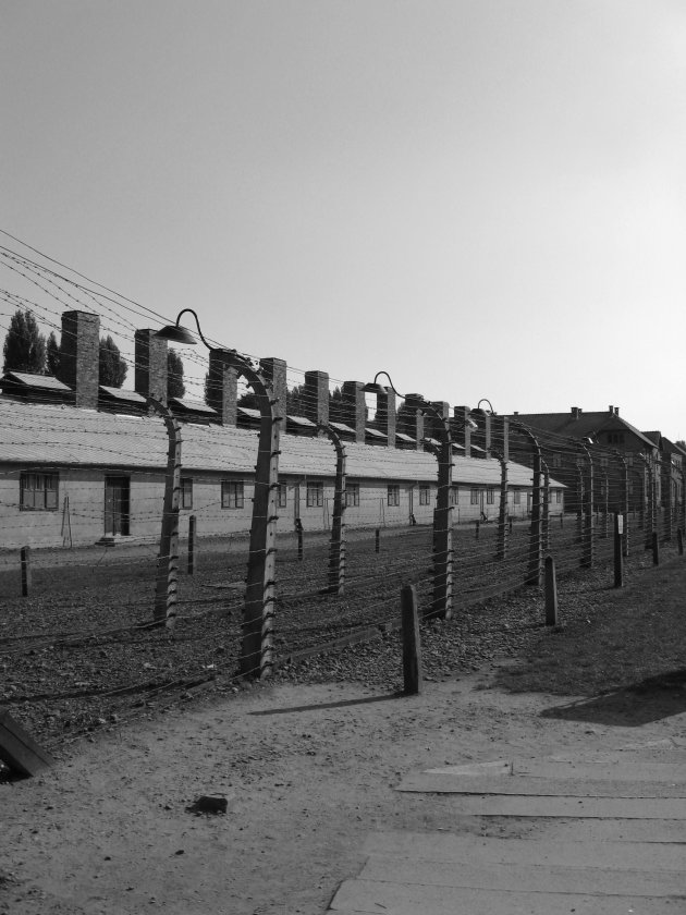 auschwitz