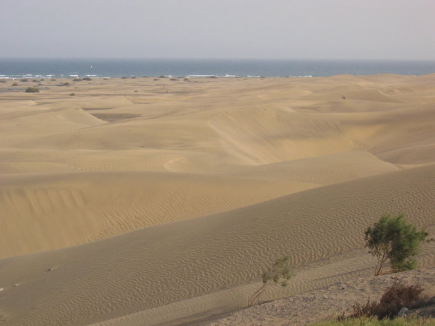 De duinen van Maspalomas