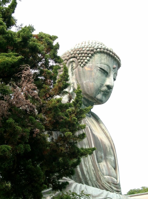 Kamakura Daibutsu