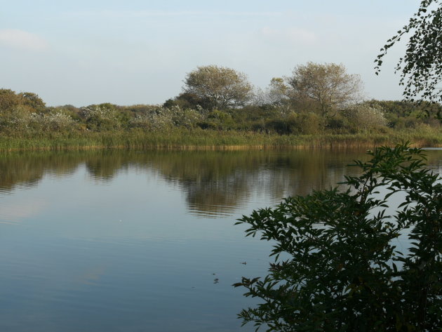 Lake in the dunes