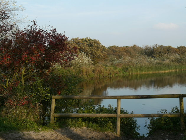 A lake in the dunes