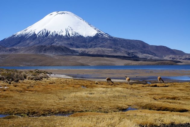 Vulkaan Parinacota