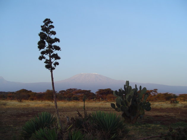 Kenia Kilimanjaro 
