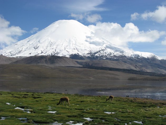 Volcan Parinacota (6348mtr)