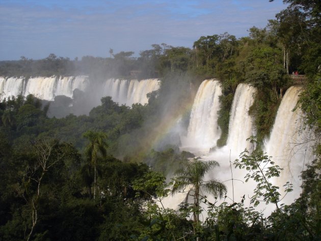 Iguazu in het groen