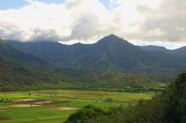 Hanalei