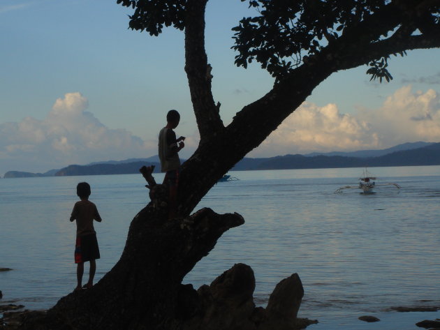 Kids and a tree