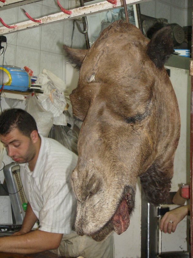 kameel bij de slager