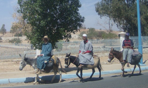 lokaal transport