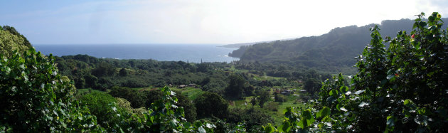 PANORAMA - 'On the road to Hana'