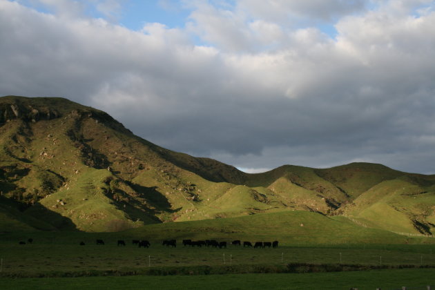 Rondom Waitomo