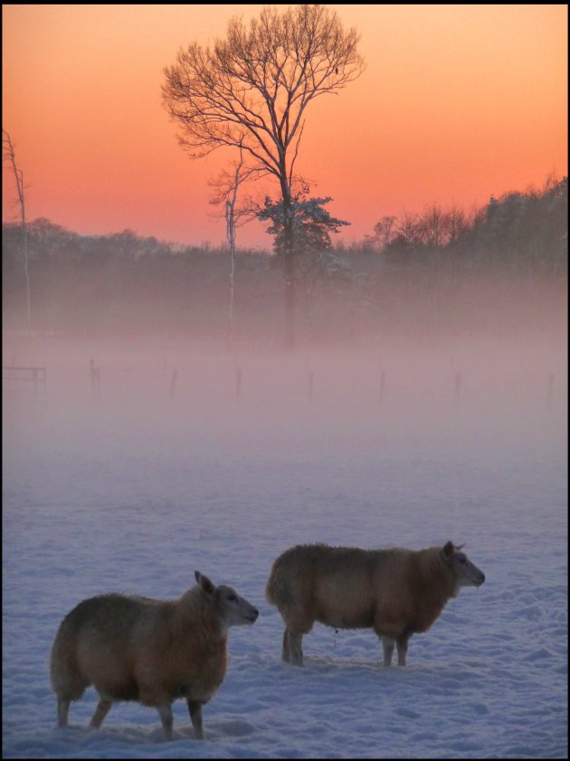 cold feet..