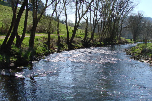 Zon in het water (1)