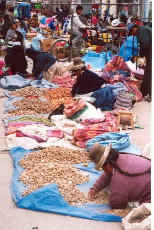 lokale markt