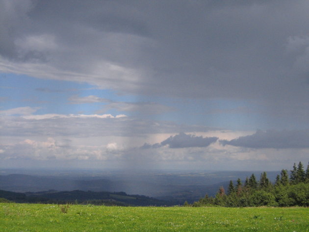 Regenbui in de verte