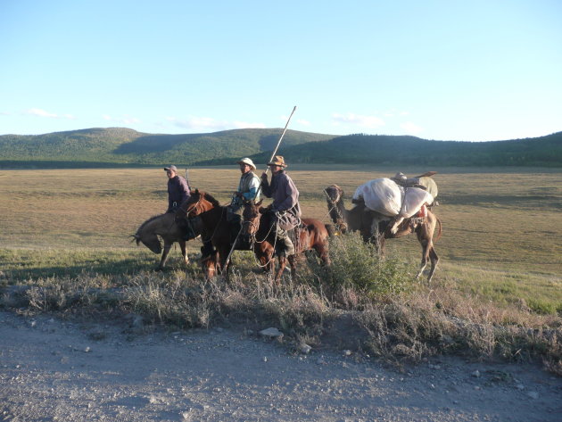 Mongoolse herders