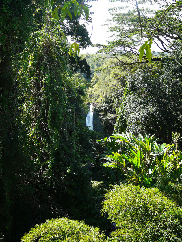 Typisch Hawaiiaans landschap