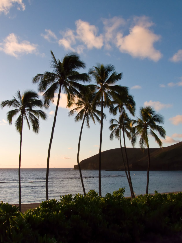 Hanauma Bay