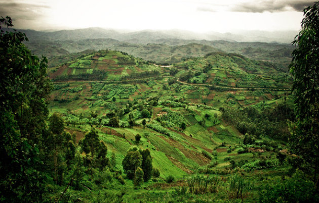 Rwandan Scenery