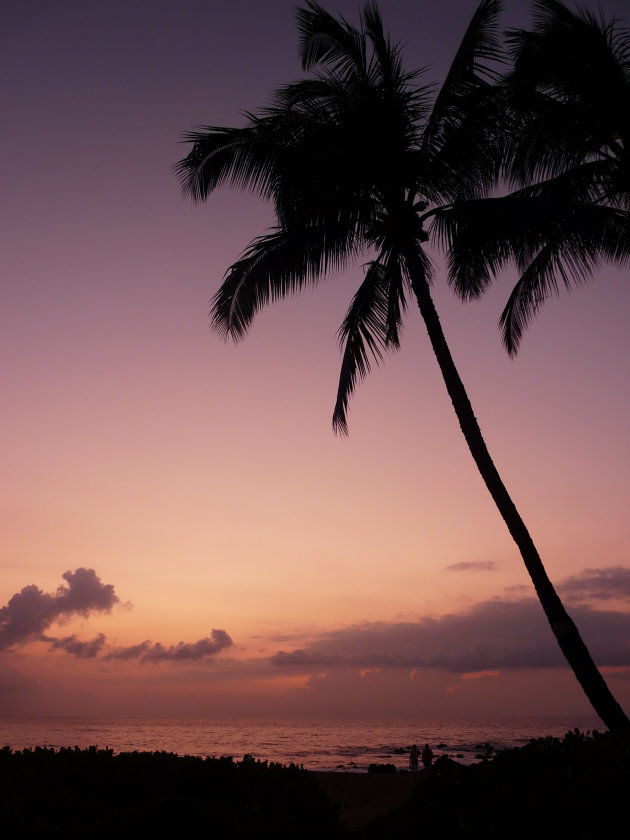 Hawaiian sunset