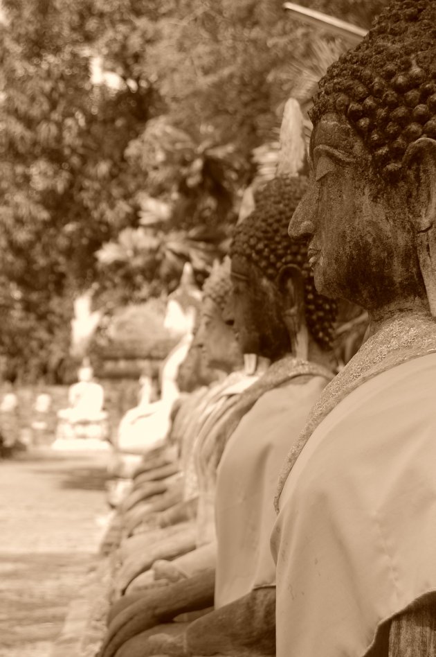 Boeddha's in tempel in Ayutthaya