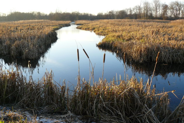 De Braak, Paterswolde