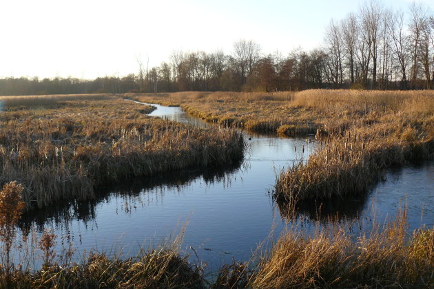 Winters landschap 